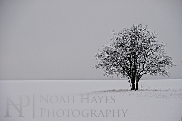 Dead Winter