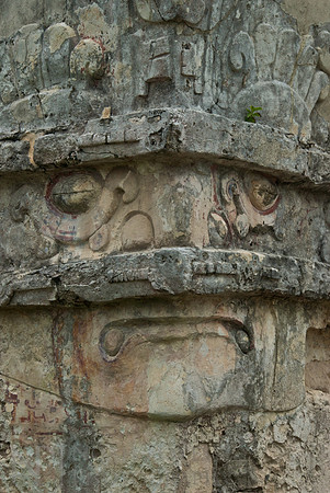 Face of Telum